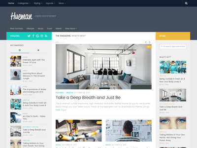 Hueman Pro Theme